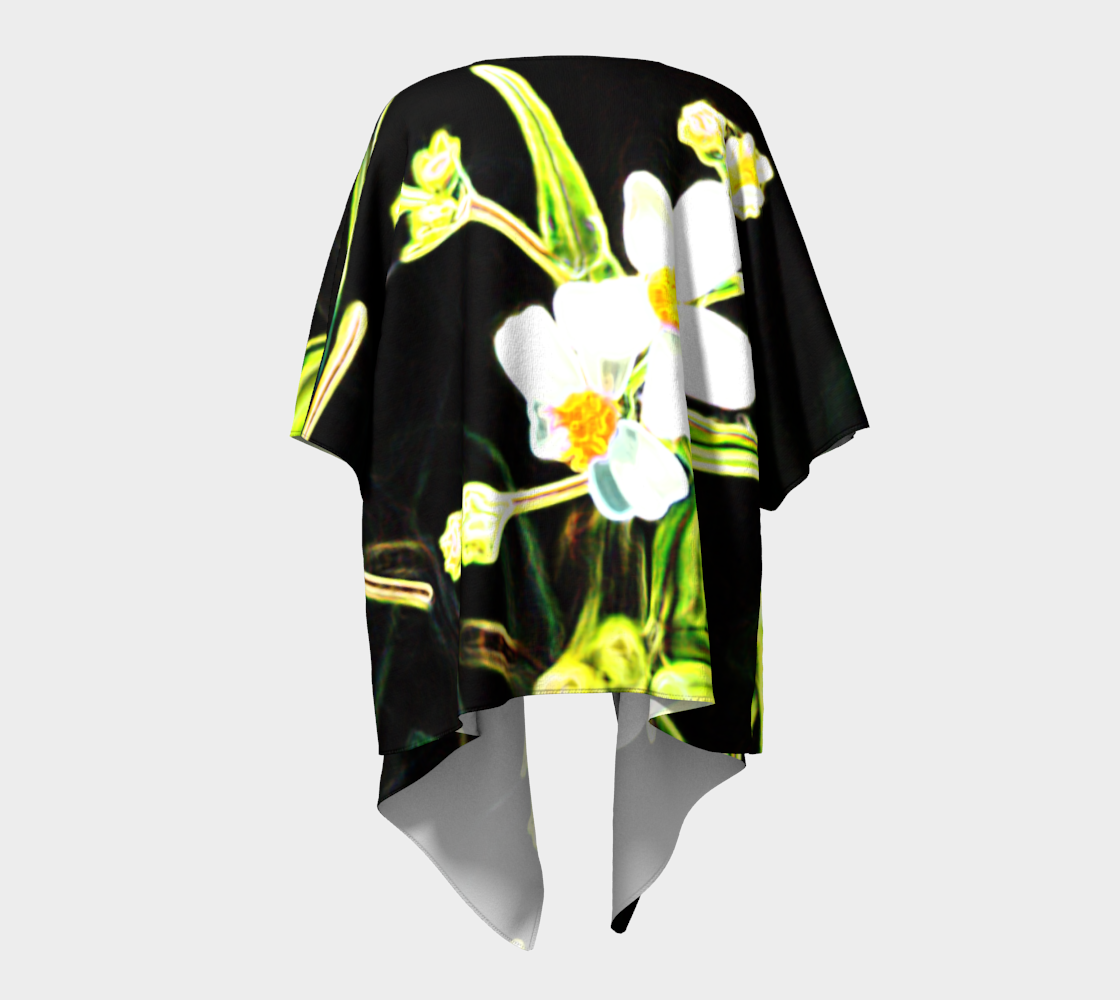 Wildflowers of the Everglades