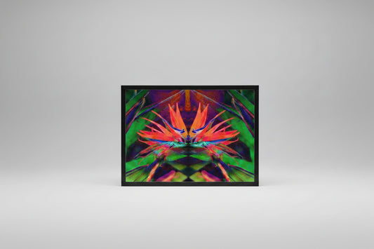 Lotus Flower