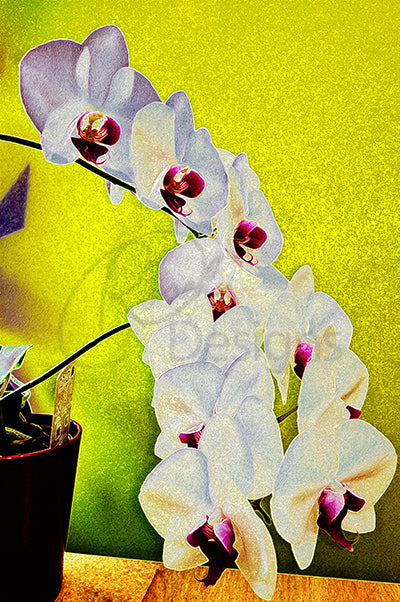 Orchids on my Desk Theme Notecards - Set of 3