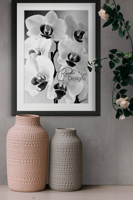 Orchids