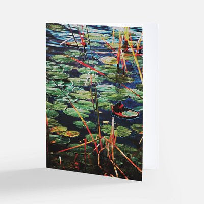 Lilies of the Everglades Theme Notecards - Set of 3