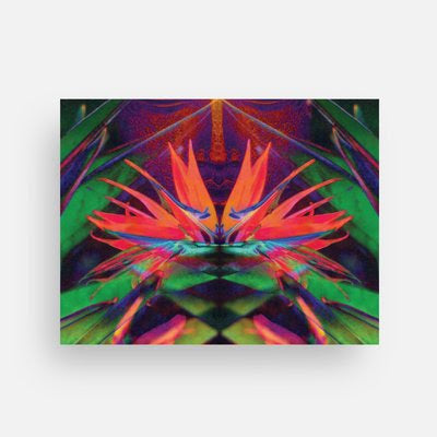 Lotus II Theme Notecards - Set of 3