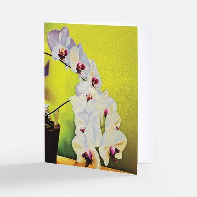 Orchids on my Desk Theme Notecards - Set of 3