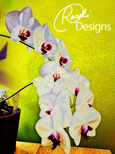 Orchid On My Desk