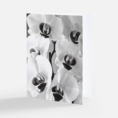 Orchid B/W Theme Notecards - Set of 3