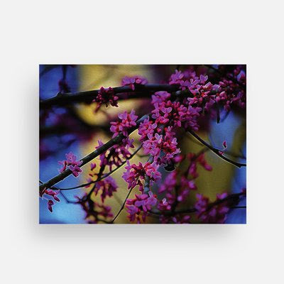 Springs time in Murphy Theme Notecards - Set of 3