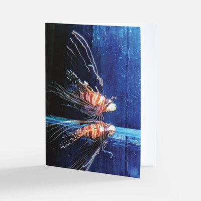 Fish Theme Notecards - Set of 3