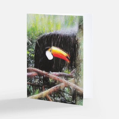 Tucano Theme Notecards - Set of 3