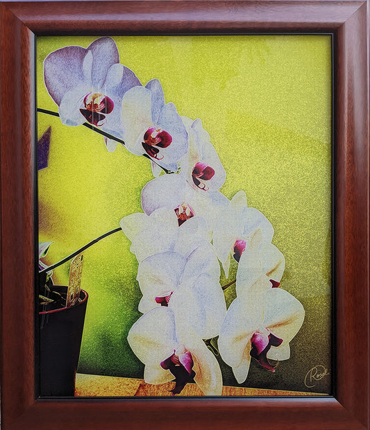 Orchid On My Desk